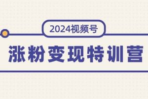 2024视频号-涨粉变现特训营：一站式打造稳定视频号涨粉变现模式（10节）